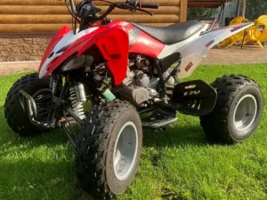 Квадроциклы: как выбрать надежный ATV для отдыха и работы